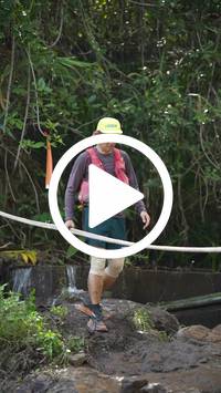 BIB:  <button type="button" onclick="openModal(27510313)" class="btn btn-primary btn-sm float-right" data-toggle="modal" data-target=".modal-high-quality">
                <i class="fa fa-download"></i> Download
                </button>